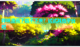 哔咪漫画下载不下来？试试其他平台吧