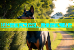 哔咔漫画网页登录，海量漫画随时看