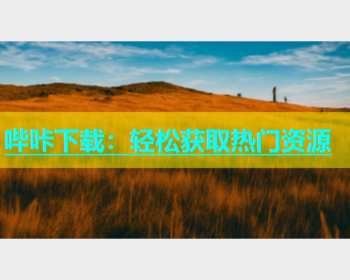 哔咔下载：轻松获取热门资源