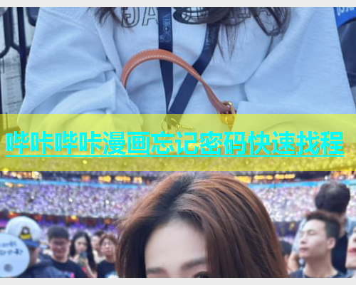 哔咔哔咔漫画忘记密码快速找程