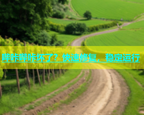 哔咔哔咔坏了？快速修复，稳定运行